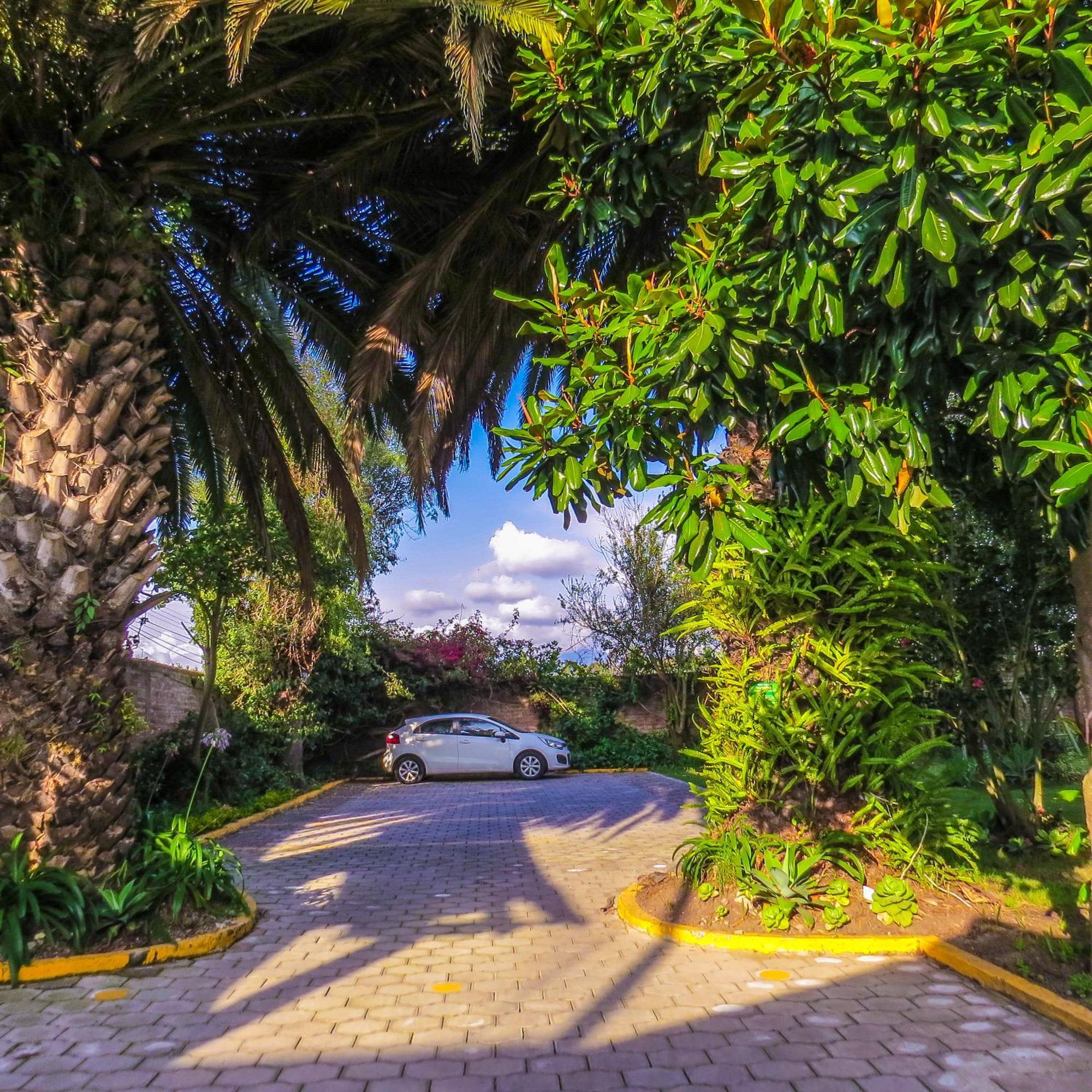 Hosteria Airport Garden Табабела Екстер'єр фото